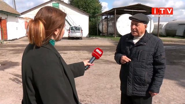 Як на Рівненщині готуються до збору цукрових буряків?