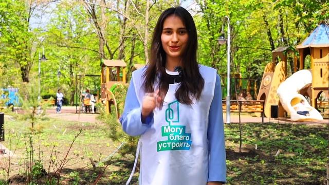 Как благоустроить свой город с помощью волонтера?