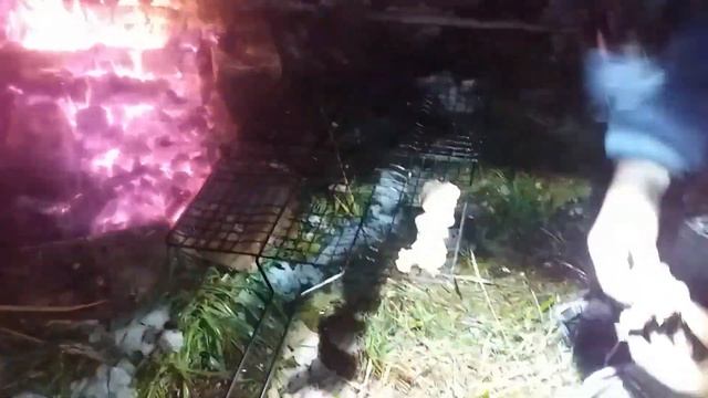 НИВА ЗВЕРЬ МАШИНА ПРОГУЛКА ДРУЖНОЙ КОМПАНИЕЙ.ЧАСТЬ 2