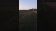 Спаечная болезнь с точки зрения хирурга!