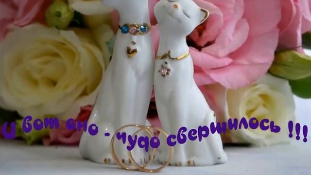 Кошачий 😺вальс 🎶- Сергей Чекалин (шуточный ролик)