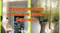 Скоро Радоница!