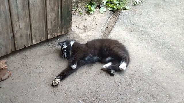 философский камень