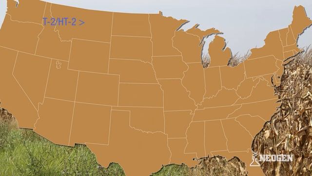 Monday Mycotoxin and Crop Report for November 20, 2017