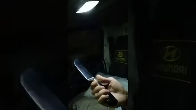 Пчак обрёл владельца