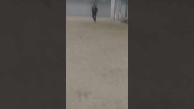 Домодедово Айропор .
