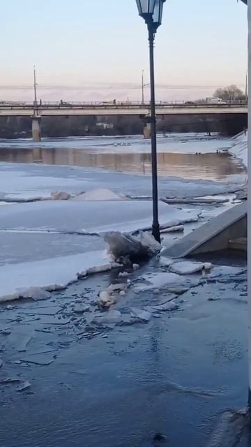 Ледоход на реке, Ока вышла из берегов, г. Орел