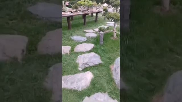 Японский сад в Краснодаре, в парке Галицкого!