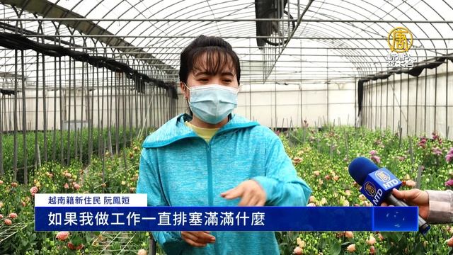 新住民勤耕三年 香瓜、洋桔梗都難不倒她