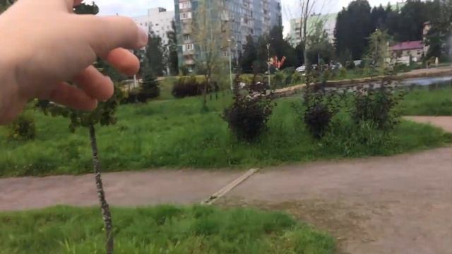 СЕРТОЛОВО ОБЗОР!!! БОНУС сертолово обзор