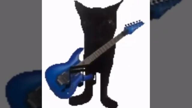 кот на гетаре
