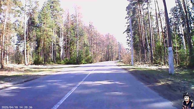 Поездка с кладбище