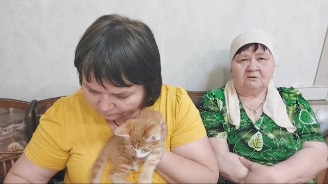 всем привет