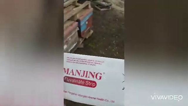 Лечение пчёлак от клеща