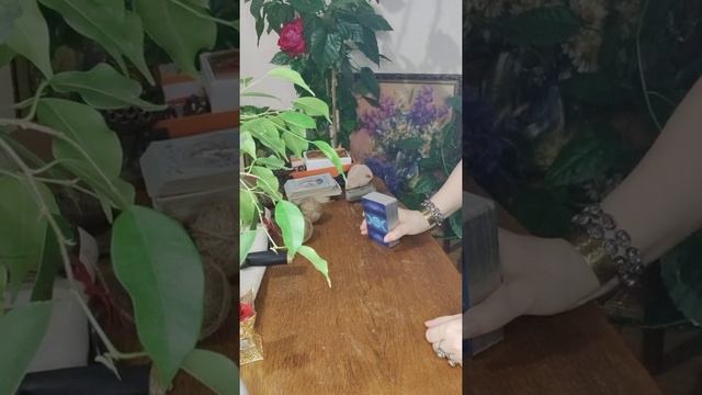 О ВАМПИРАХ И ПРОЧИХ ТВАРЯХ СОСУЩИХ СИЛЫ И ПОРТЯЩИХ ЖИЗНЬ