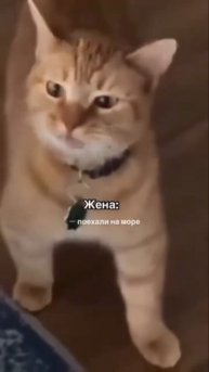 😂😂😂_Женщины_😂_ арт вб: 174824807