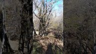 Осень 2021 года в горах под Туапсе. (1)