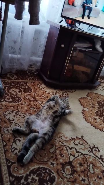 это ей жарко просто)