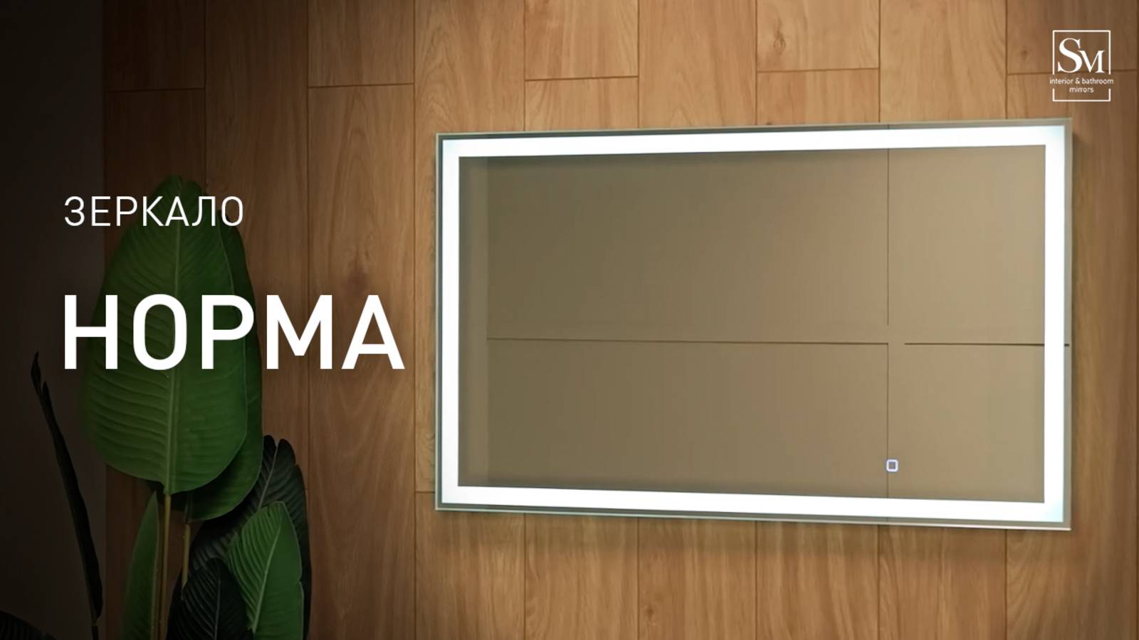 Зеркало "Норма" 600х1000