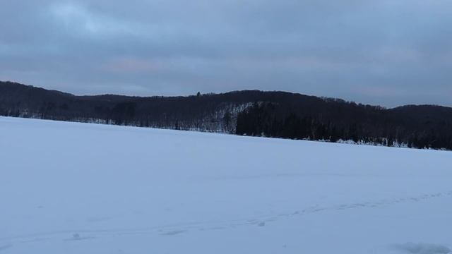 Озеро занесенное снегом перед закатом. Шум ветра и пение птиц.