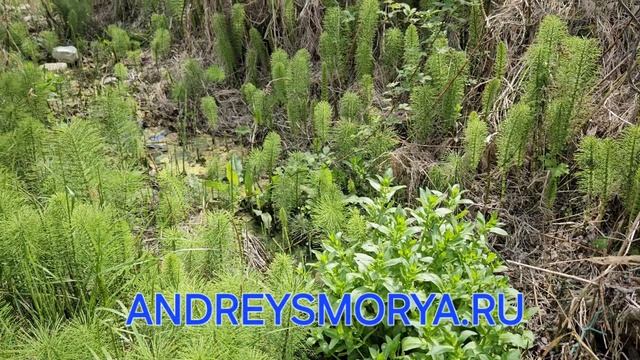 Геленджик. Район Южный.