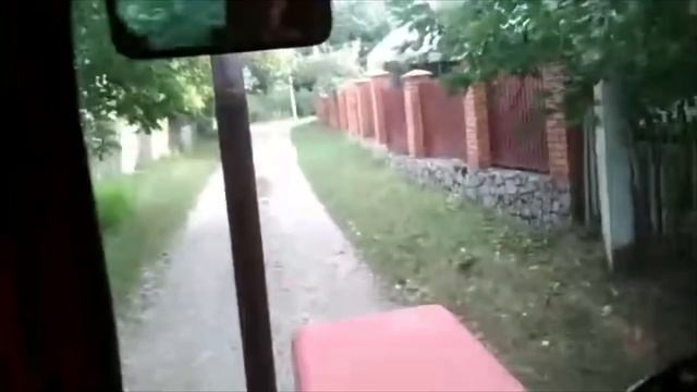 Осы 🐝 завелись! Сельский влог. Распаковка Лол