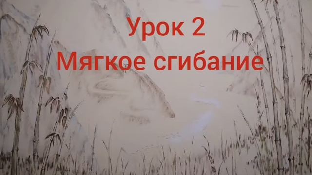 СОМАТИКА. УРОК 2.