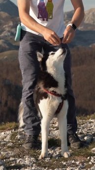 На какой трюк снять обучалку?) Нравится вам короткий вариант вертикальных обучалок?)