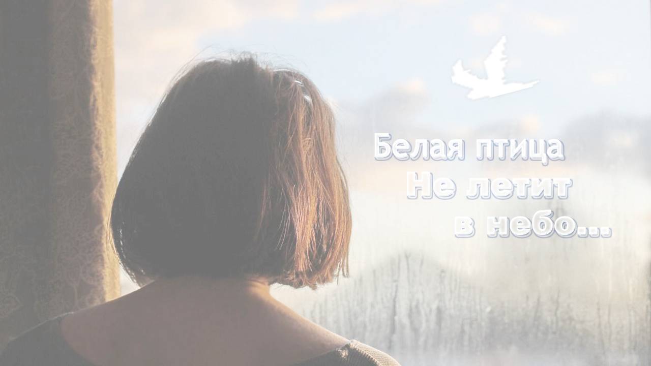 Белая птица...