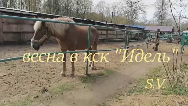 идель