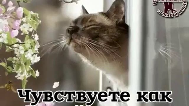 Почувствуй запах весны😊