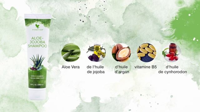 Aloe Jojoba Shampoo & Aloe Jojoba Conditioner