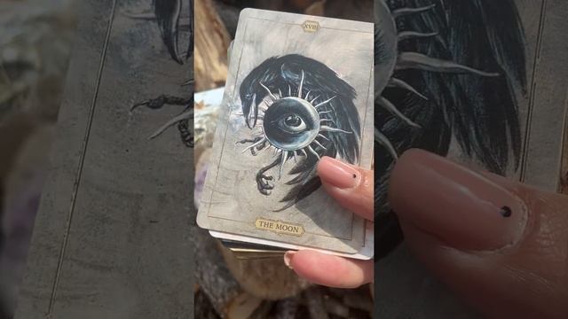 Hush Tarot by Jeremy Hush