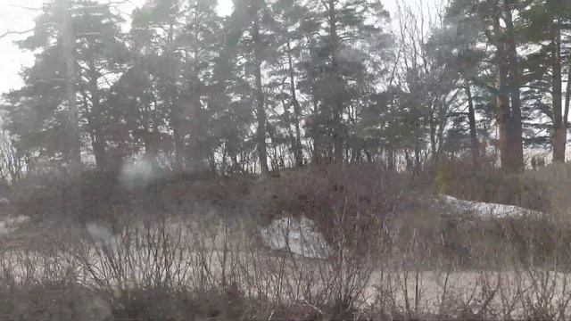 Пляж Курорт из окна электрички