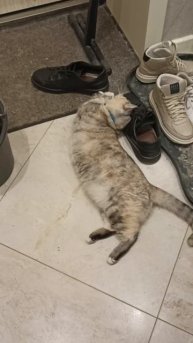 Пометить ботинки.