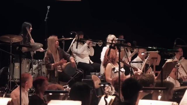 OTTA-orchestra - Royal Safari