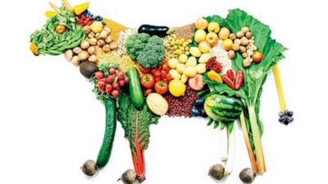 Вегетарианство - путь к здоровью! 🍏