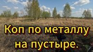 Коп по металлу на пустыре