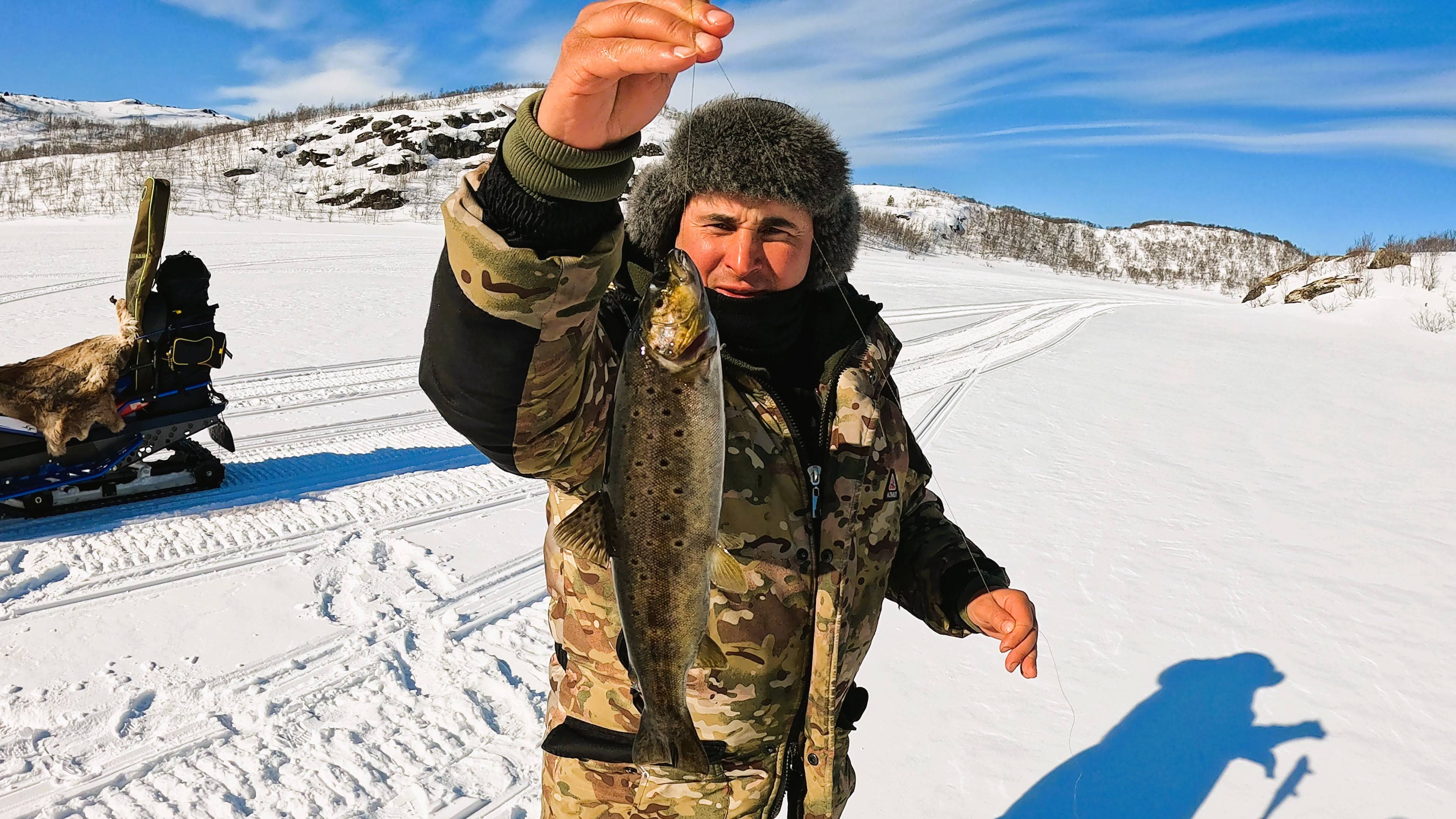 В ТУНДРУ ЗА КУМЖЕЙ