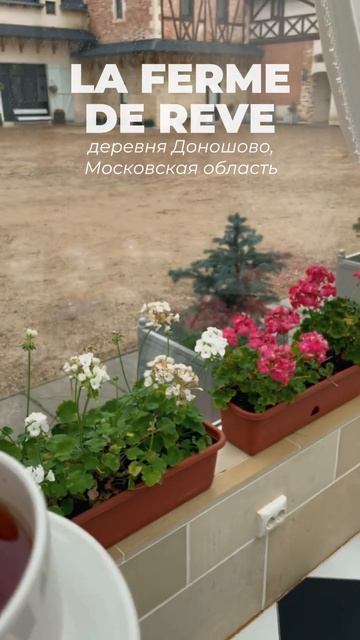 Где провести 14 февраля: подборка отелей от Terra Travel😍 #shorts  #путешествия #путешествиепоросси