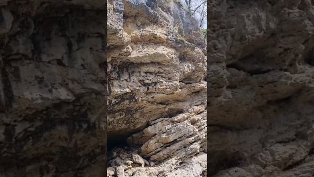Как же прекрасен Краснодарский край! 🌴☀️