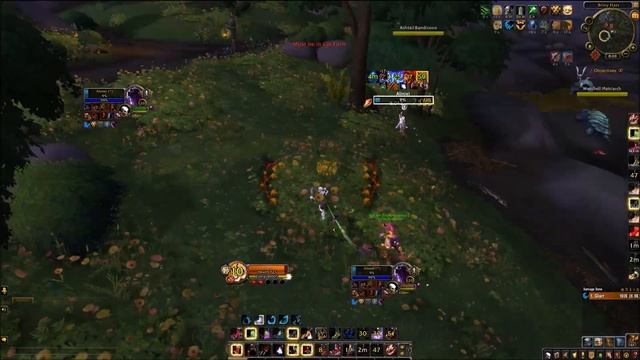 BFA WoW 8.1.0 Gilarr PvP (Feral Druid) - The World