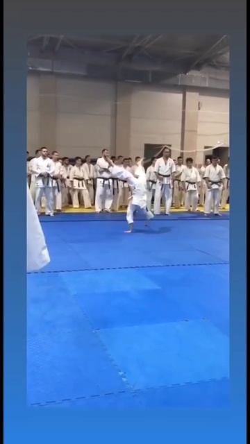 Экзамен 2 кю киокусинкай каратэ
