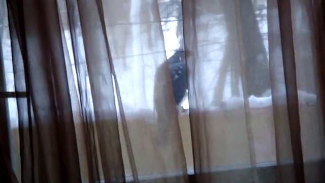 MOV02820.MPG
