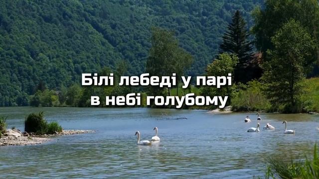 "Білі лебеді у парі" | Християнська весільна пісня
