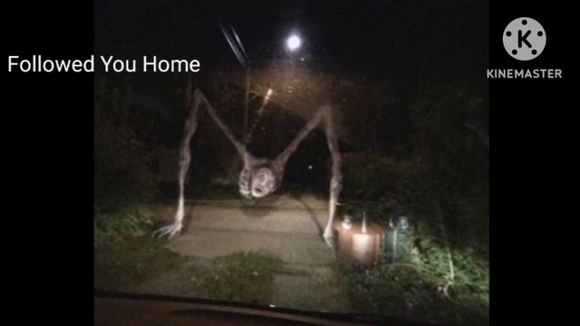 Followed you home sounds (trevor henderson)