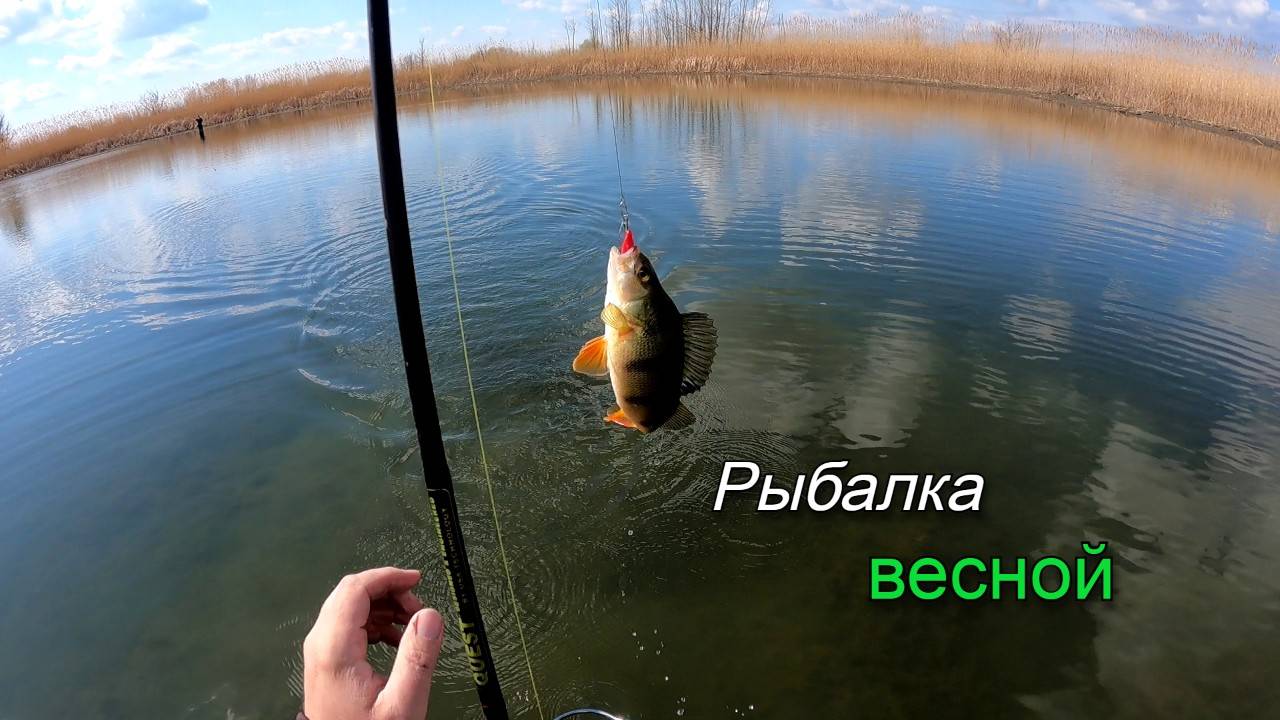 Рыбалка весной на щуку. Ловля щуки на водоемах Волго-Ахтубинской поймы
