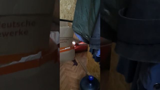 Письмо Лене