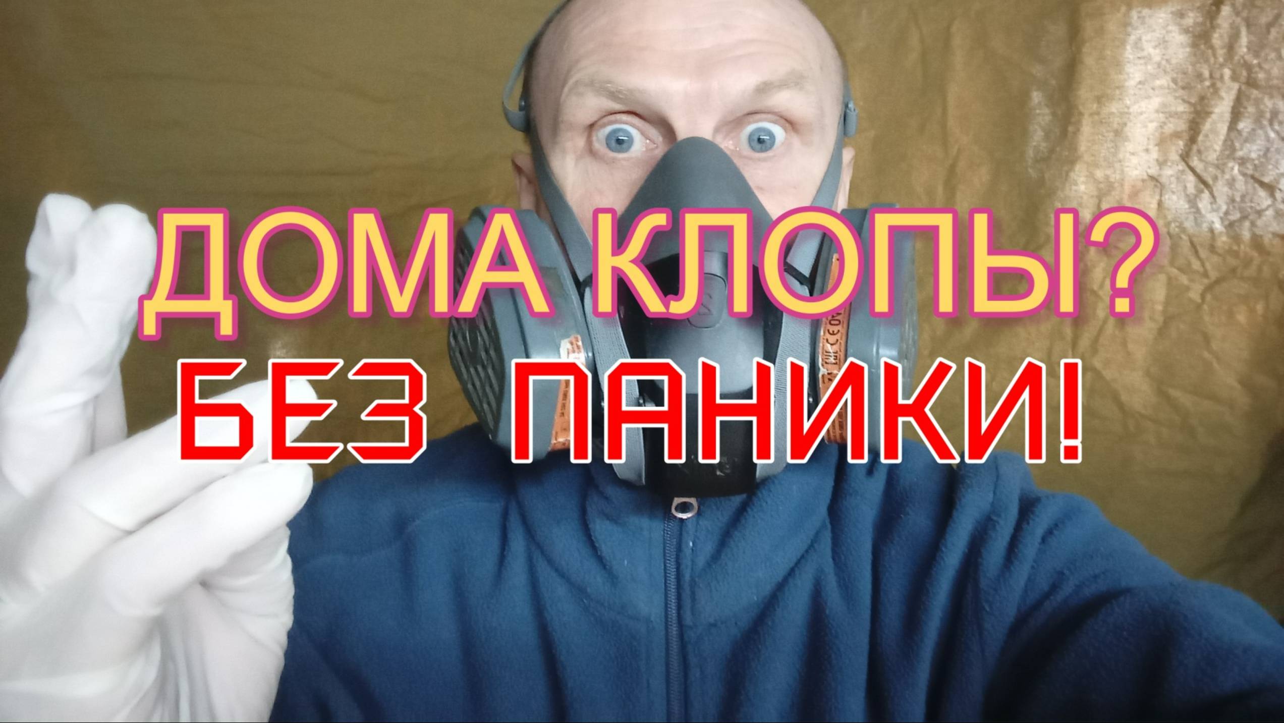 Когда дома завелись клопы