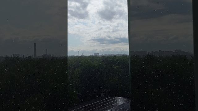 25.04.25. ... лесопарк в Москве